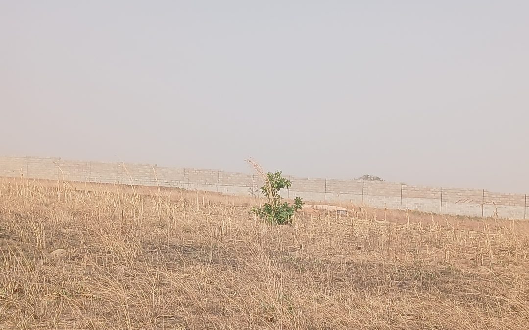 Land banking updates! 6 flat land with Rofo title (CofO processing). 📍 Beside Abegi Estate, Gura-zot shen, Jos South